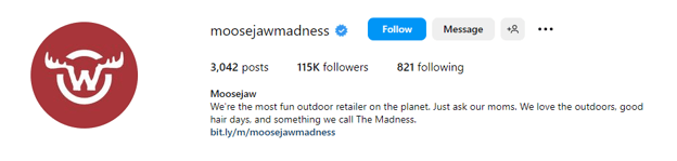 funny Insta bios for business