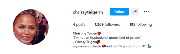 funny Insta bios