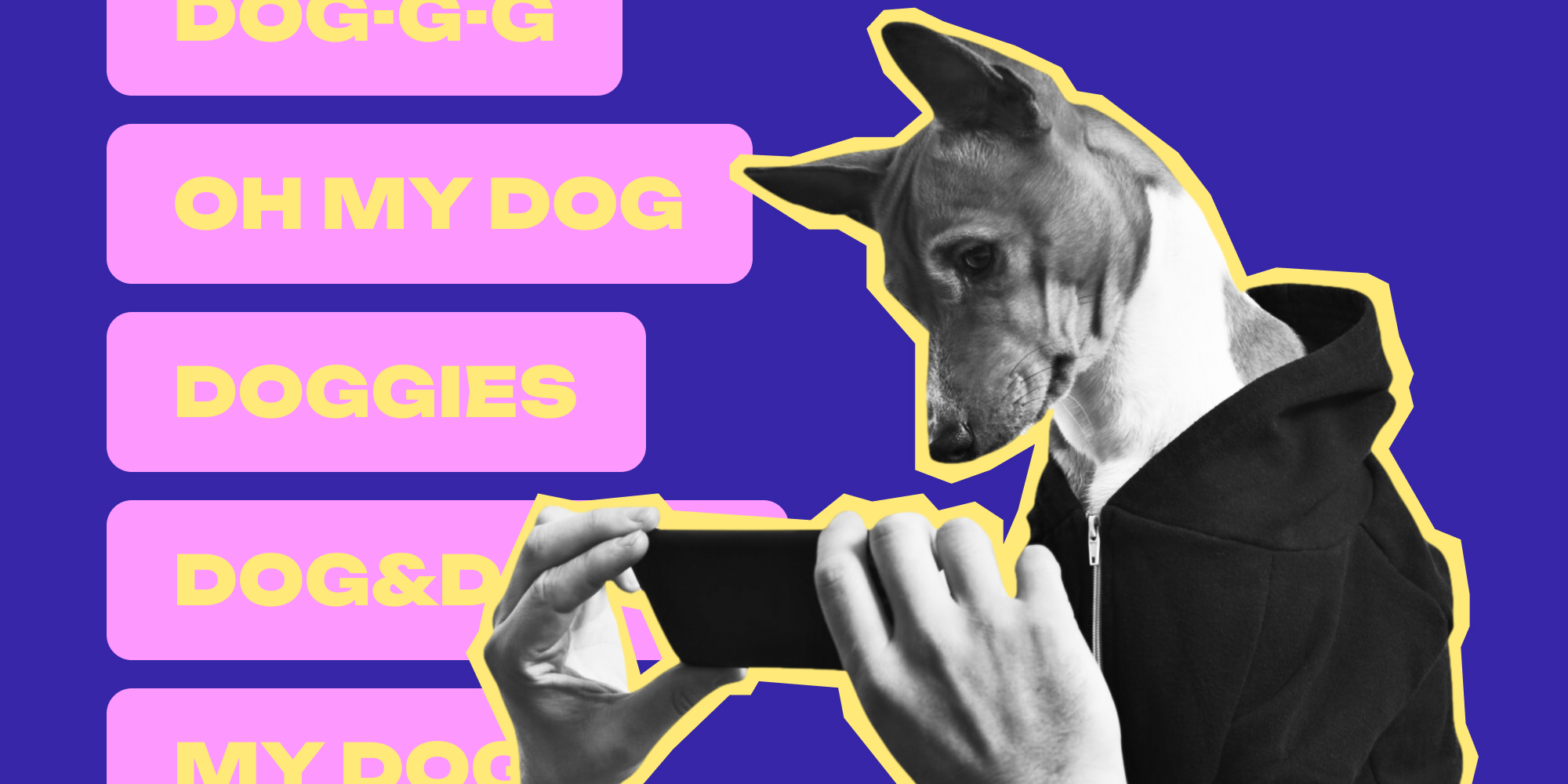 Best Dog Captions For Instagram In 2023 [According to Lift]